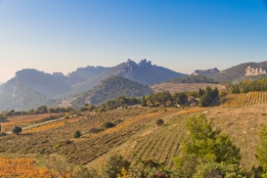 dentelles de Montmirail