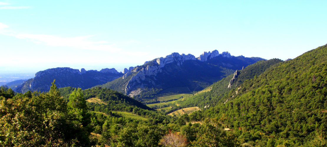 Dentelles de Montmirail